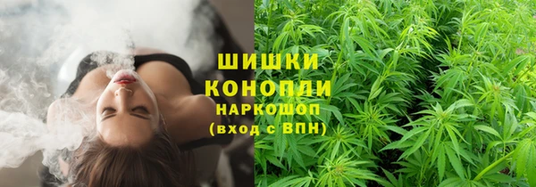 гидра Волоколамск