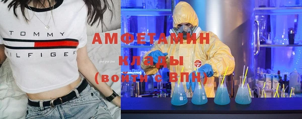 ПСИЛОЦИБИНОВЫЕ ГРИБЫ Инсар