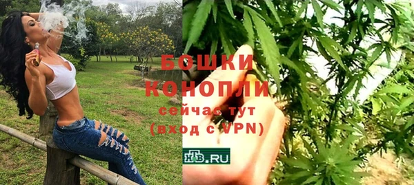 тгк Горняк